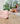 Beautifly B-Blink Blush Eye and Mouth Area Massager - Lifestyle 01